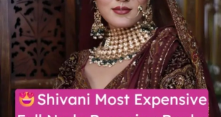 Model Shivani aka @girl_in_the_pants Most Private Exclusive Video Full Nude Bouncing her Boobs and Rubbing her Pussy with Clear Face!!